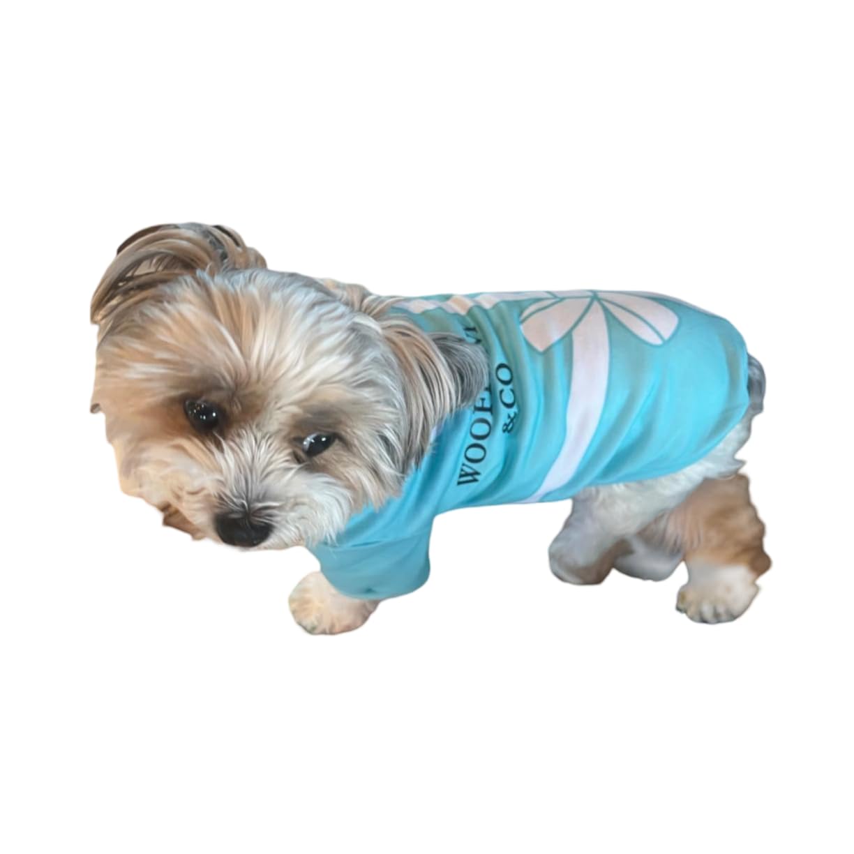 Dog T-Shirt Tee Clothes Vest Lightweight Stretchy Soft Cool Breathable Puppy (Blue, Small)